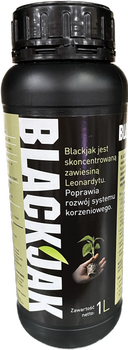 BLACKJAK 1l