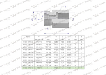 Tulejka różnicowa hydrauliczna AB M36x2 28L GZ x 1" BSP GW Waryński