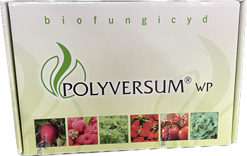 Polyversum WP 300g