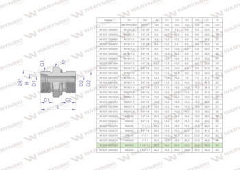 Przyłączka hydrauliczna BB (XGE) M45x2 35L x 1 1/4" BSP ED Waryński