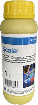 Scala 1L