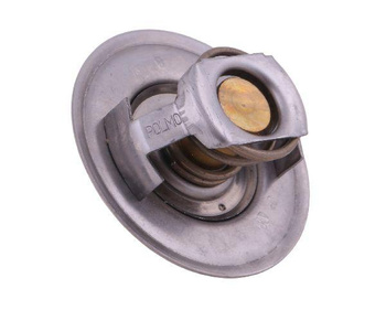 Termostat 83913835 Ford POLMO