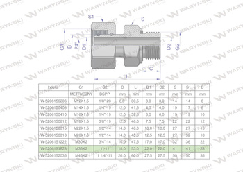 Przyłączka hydrauliczna AB (EVGE) M36x2 28L x 1" BSP ED Waryński