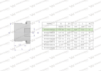 Korek hydrauliczny calowy (na imbus) 1/8" BSP ED Waryński ( sprzedawane po 10 )