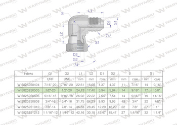 Kolanko hydrauliczne calowe AB 1/2" UNF (JIC) Waryński