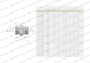 Przyłączka hydrauliczna BB (XGE) M12x1.5 06L x 1/8" BSP ED Waryński ( sprzedawane po 10 )