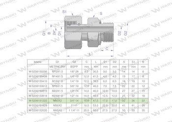 Przyłączka hydrauliczna AB (EVGE) M30x2 22L x 3/4" BSP ED Waryński