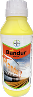 Bandur 600 SC 1l