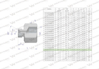 Tulejka różnicowa hydrauliczna calowa AB 3/4"GZ x 1"GW BSP Waryński