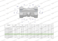 Złączka hydrauliczna calowa AA 3/4" BSP Waryński