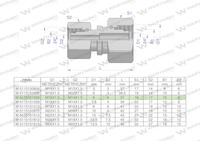 Złączka hydrauliczna metryczna AA M16x1.5 10L x M14x1.5 08L Waryński ( sprzedawane po 2 )