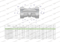 Złączka hydrauliczna calowa AA 1/4" BSP Waryński ( sprzedawane po 2 )