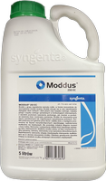 Moddus 250 EC 5l