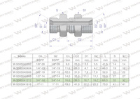 Złączka hydrauliczna calowa grodziowa BB 3/4" BSP z przeciwnakrętką (XSV) Waryński