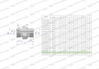 Przyłączka hydrauliczna (odmiana ciężka XGE) BB M36x2 25S x 3/4" BSP ED Waryński ( sprzedawane po 2 )