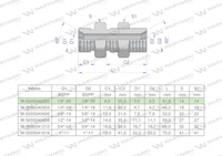 Złączka hydrauliczna calowa grodziowa BB 1/8" BSP z przeciwnakrętką (XSV) Waryński ( sprzedawane po 2 )