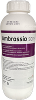 AMBROSSIO 500 SC 1l
