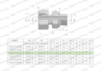 Przyłączka hydrauliczna metryczna AB (EVGE) M16x1.5 10L x M14x1.5 ED Waryński ( sprzedawane po 2 )