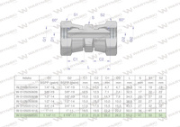 Złączka hydrauliczna calowa AA 1 1/4" BSP Waryński