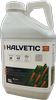 Halvetic 