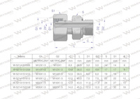 Przyłączka hydrauliczna metryczna AB (EVGE) M14x1.5 08L x M12x1.5 ED Waryński ( sprzedawane po 2 )