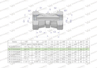 Złączka hydrauliczna calowa AA 3/8" BSP Waryński ( sprzedawane po 2 )