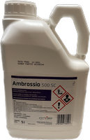 AMBROSSIO 500 SC 5l