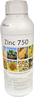  Zinc 750 1l
